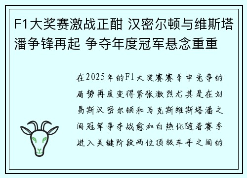F1大奖赛激战正酣 汉密尔顿与维斯塔潘争锋再起 争夺年度冠军悬念重重